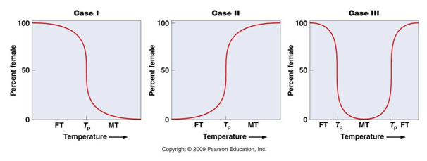 Sex determination in reptiles