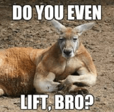 roo