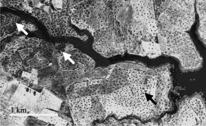 Screen Shot 2015-08-28 at 1.14.50 pm