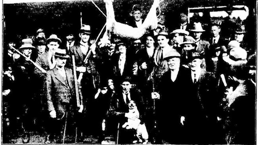 A 'cougar' from Victoria