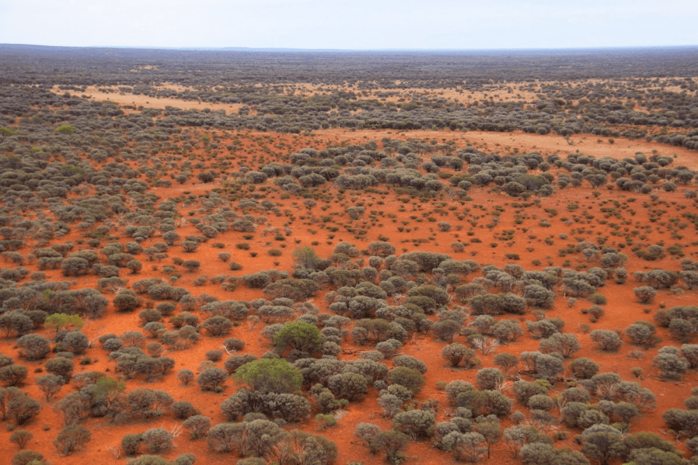 landscape-of-the-study-site