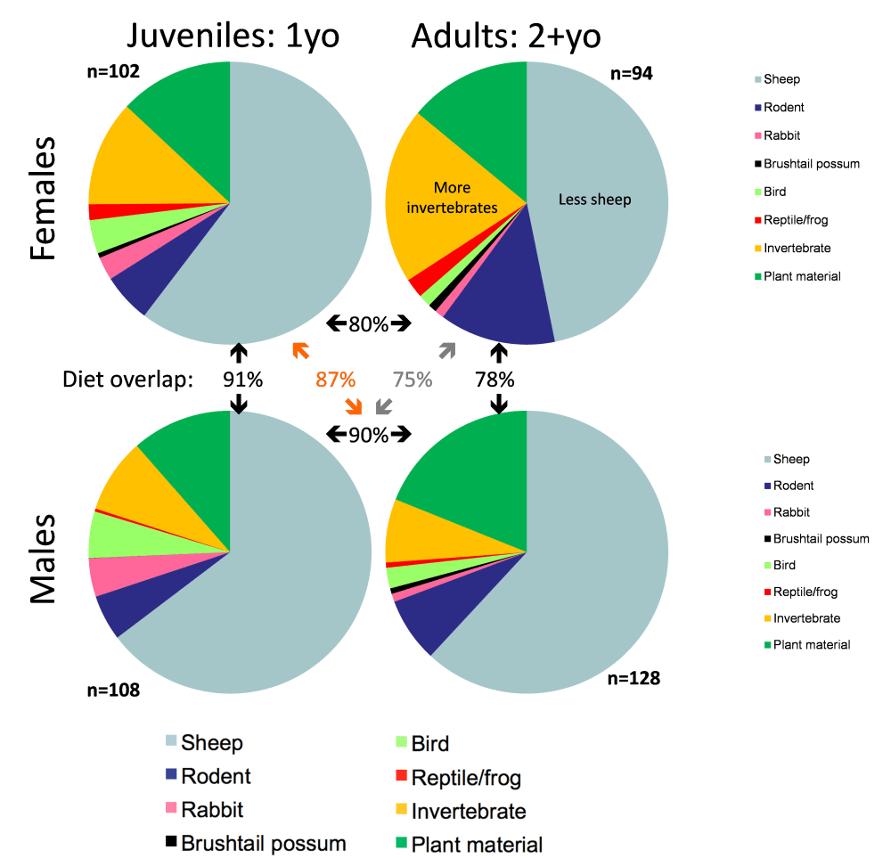 Figure - diet in red foxes.png