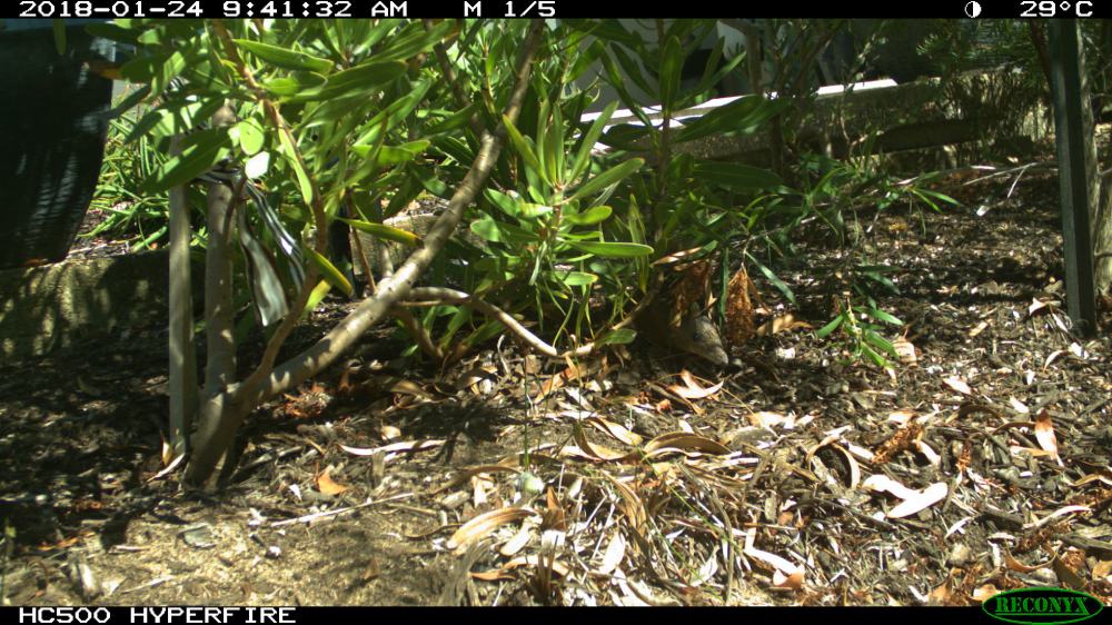 82Whim_F_20180124_09.41.32_1396